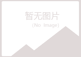 上海宝山夏岚水泥有限公司